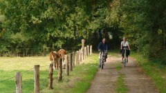 Arrangement: Belevingstocht op de fiets
