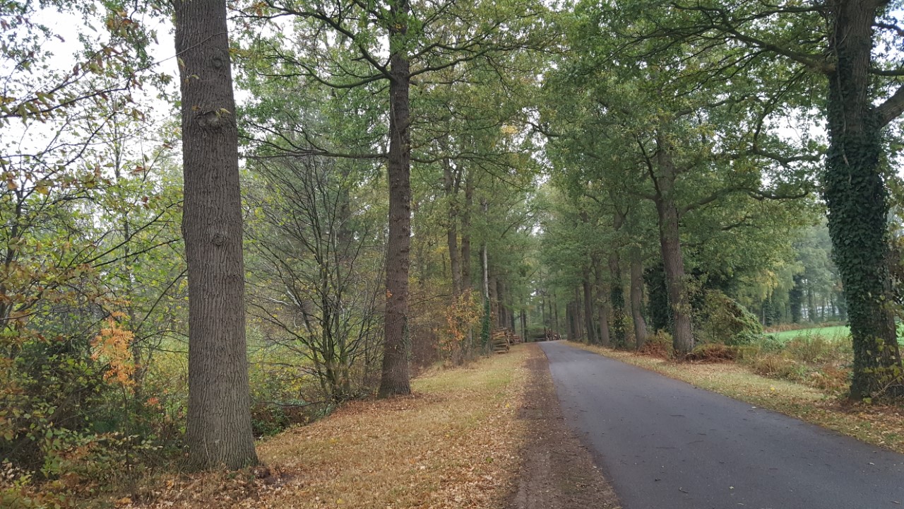 Wandeltocht Markvelde Wandeltocht-Markvelde