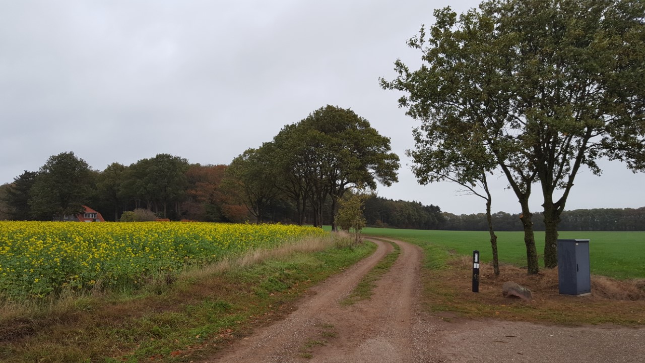 IVN Zomerwandeling IVN-Zomerwandeling