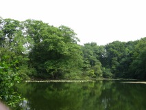 Het Springendal