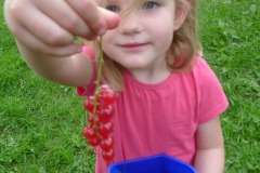Fruitboerderij Düvelshofke