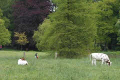 Kalheupinkpark