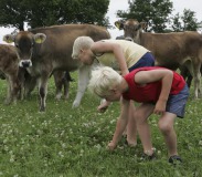 Landgoed Het Hengelman