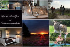Groepsaccommodatie Erve Bloeme