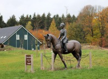 Horsetellerie Rheezerveen