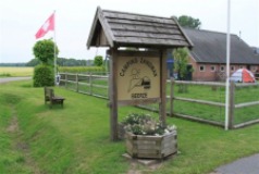 Camping Zandman