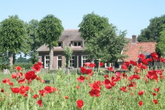 BuitenOosten B&B