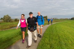 Sallandse Wandelvierdaagse