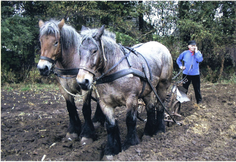 Boer en Land: Akkers bewerken met paard Boer-en-Land-Akkers-bewerken-met-paard