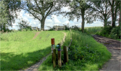 Happen & Stappen in Holten