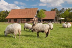 Schaapskooi Stroothuizen