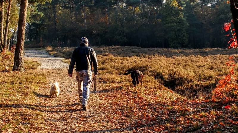 wandelnetwerk twente - puur twenterand