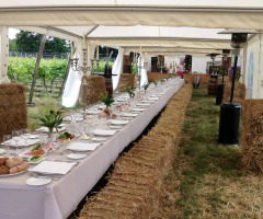 Twents Wijngaard Diner