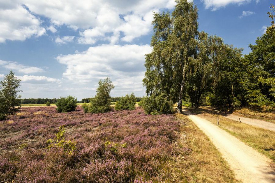 Vrijdijk