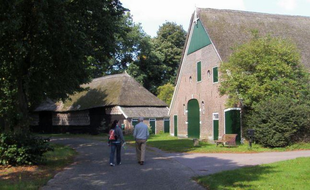 Brinkdorp Rheeze
