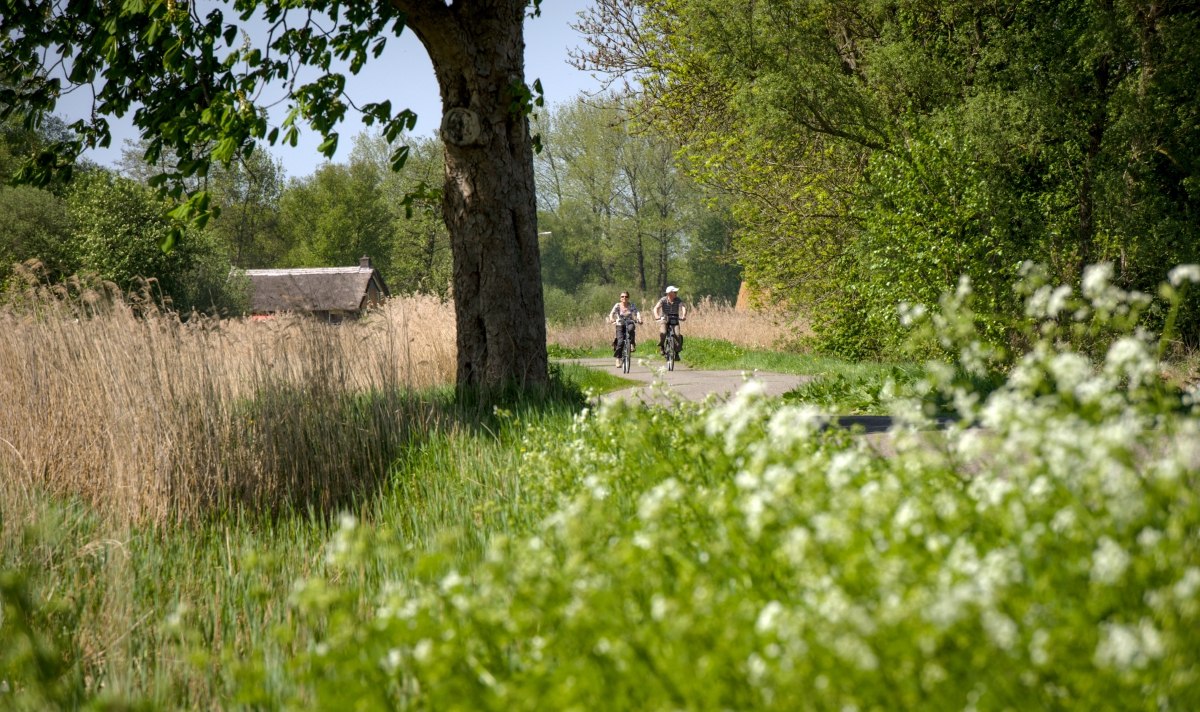 Pak je rust: fiets door Weerribben-Wieden - VisitOost