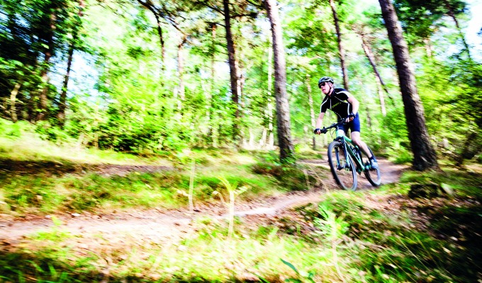 8 tips over het Twents Reggedal en Nationaal Park De Sallandse Heuvelrug