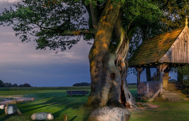 Kroezeboom in Tubbergen