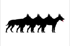 Theatergroep De jonge honden