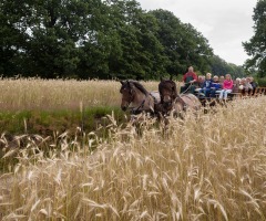 Rondrit met paard en wagen
