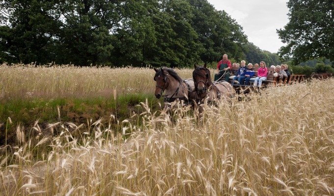 Rondrit met paard en wagen