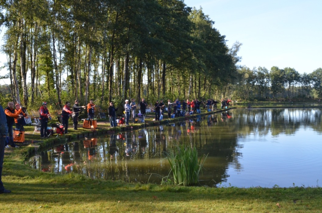 Wild Bijzonder Vissen