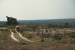 MTB route Holterberg