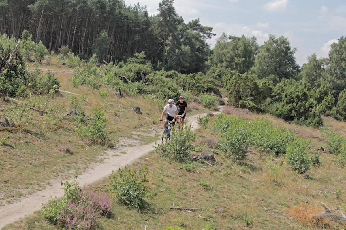 De beste MTB routes van Nederland Sallandse Heuvelrug