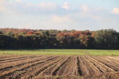 Ecologische verbindingszone Weldam-Herikerberg
