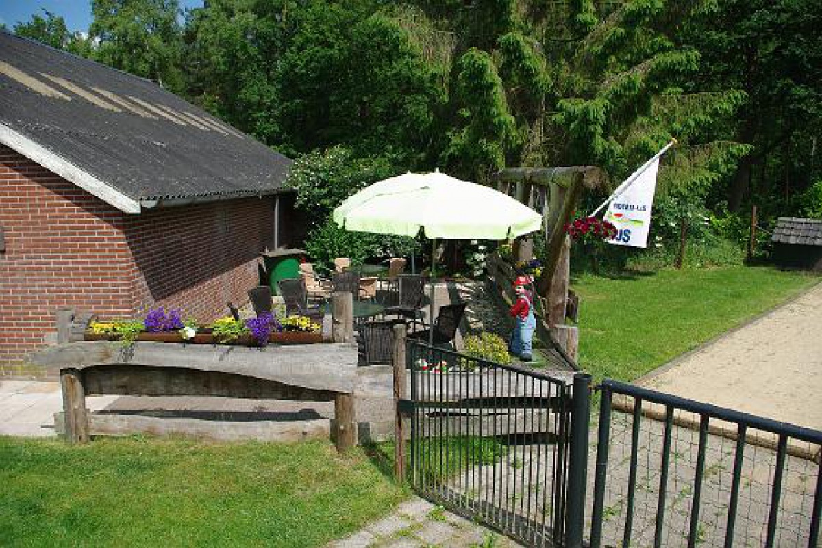 Minicamping de Pardenbloem (Löwenzahn) photo 3