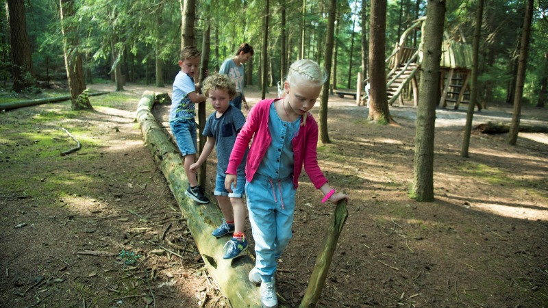 Speelbos