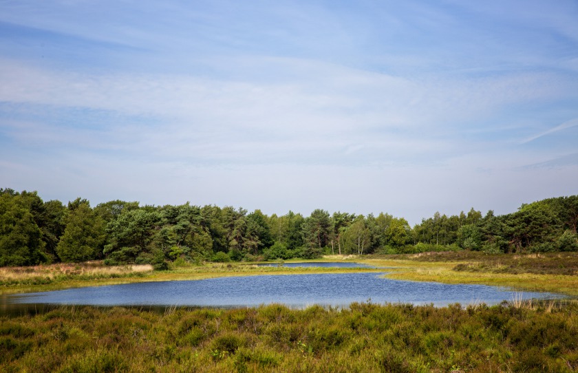 Het Springendal - Ootmarsum - Dinkelland