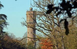 Toren in de verte, omringd door bomen en een vijver op de voorgrond onder een heldere blauwe lucht.