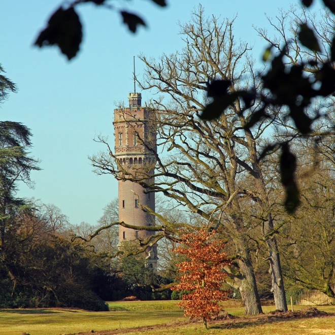 Toren in de verte, omringd door bomen en een vijver op de voorgrond onder een heldere blauwe lucht.