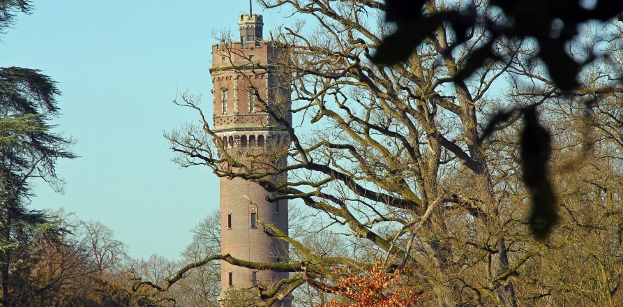 Toren in de verte, omringd door bomen en een vijver op de voorgrond onder een heldere blauwe lucht.