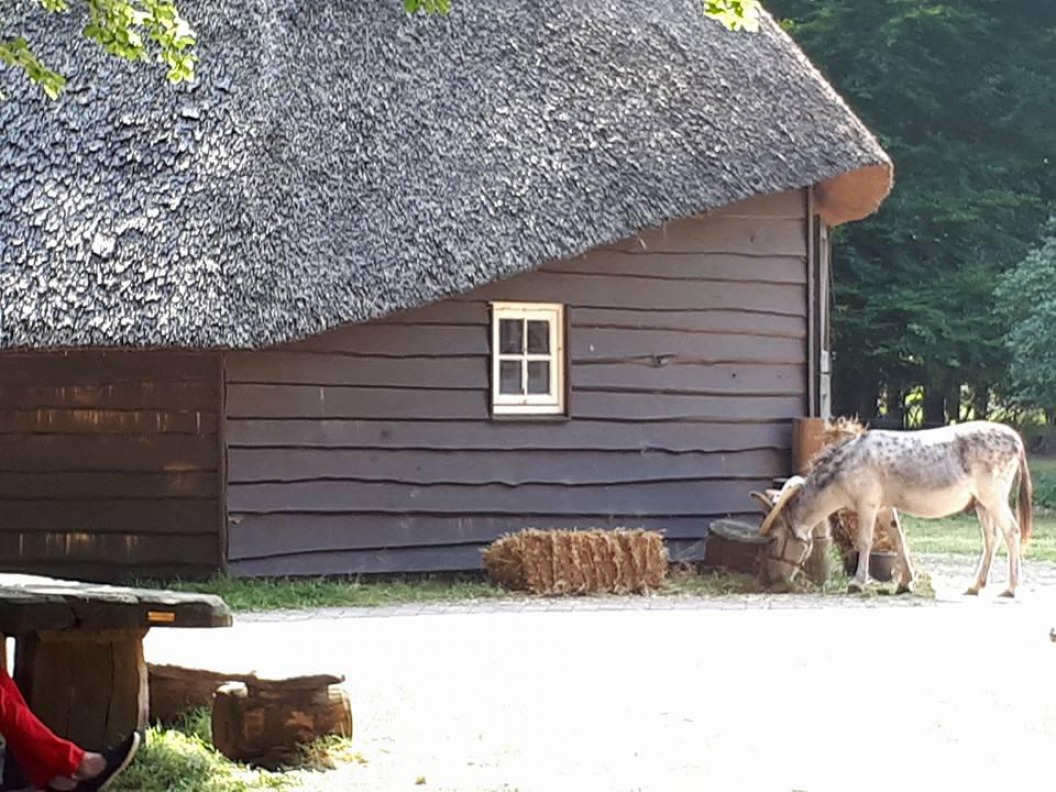 Schaapskooi Twilhaar