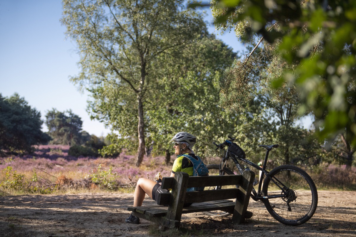 De Holterberg, een walhalla voor fietsers - Sallandse Heuvelrug