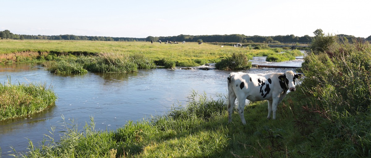 Fiets de mooiste fietsroute langs de Vecht - Vechtdal Overijssel