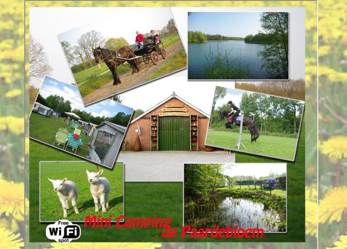 Minicamping de Pardenbloem (Löwenzahn)