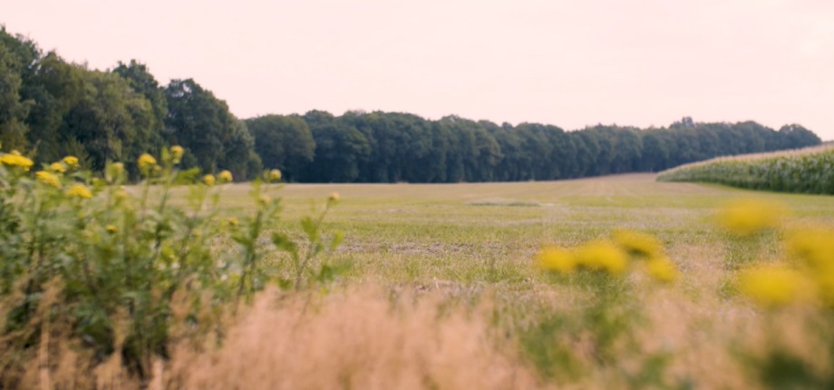 Wandelen door en rond Vasse