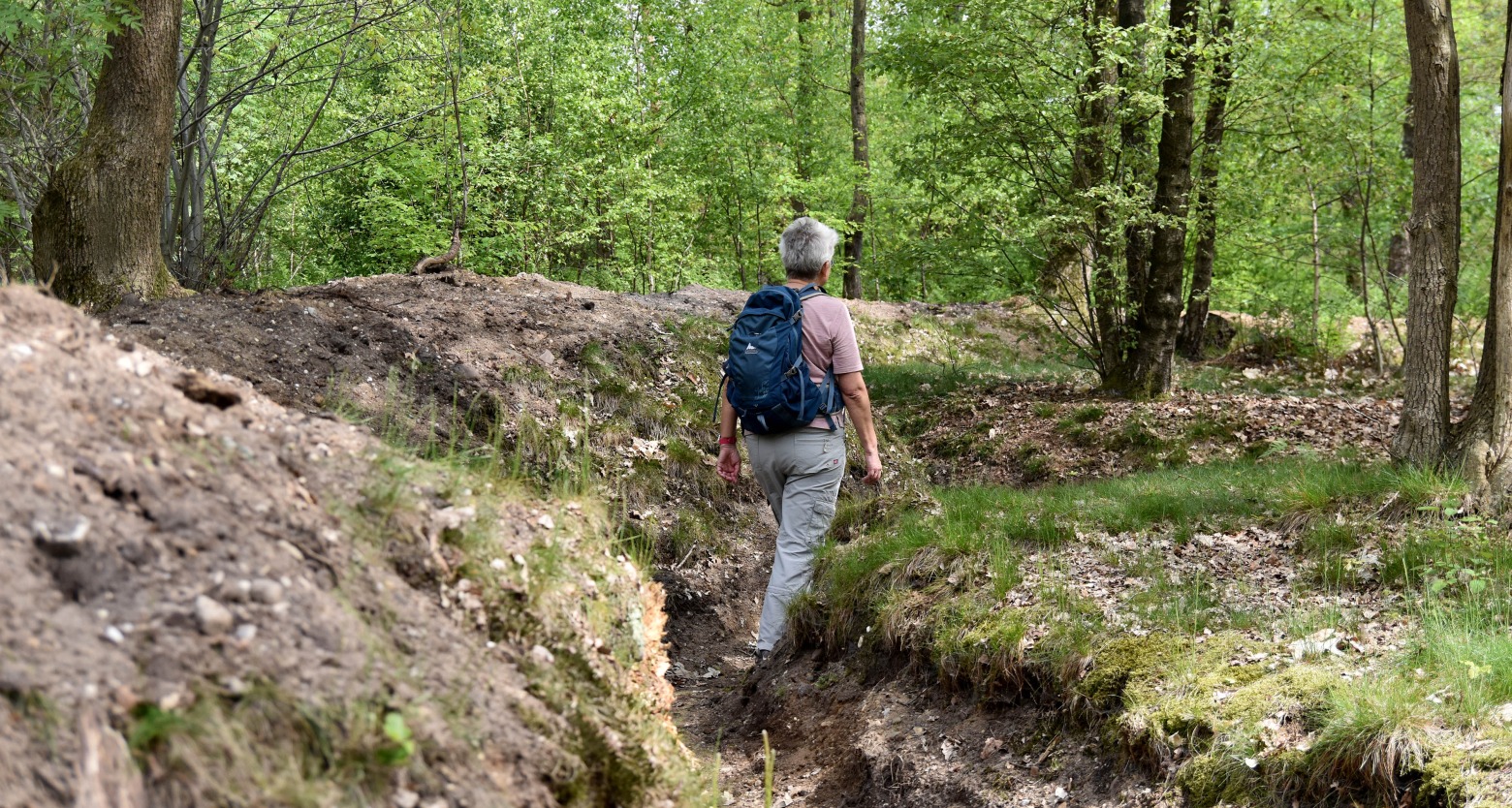 Wandelen over de Twentse Wallen Markelo - Welkom in Hof van Twente