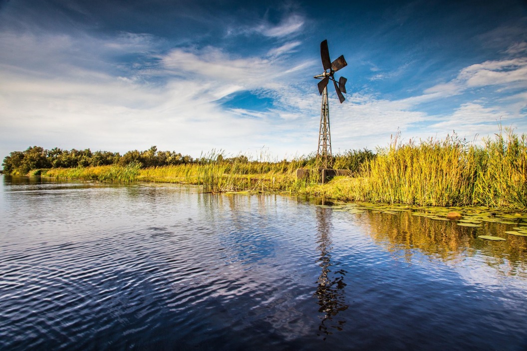 Wassermühlen im Schilf