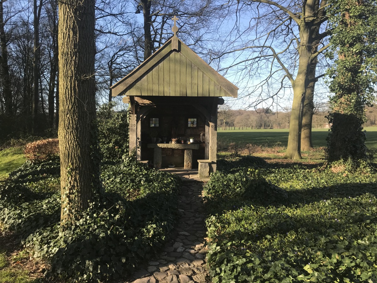 Natuurgebied De Paasberg Visit De Lutte Losser