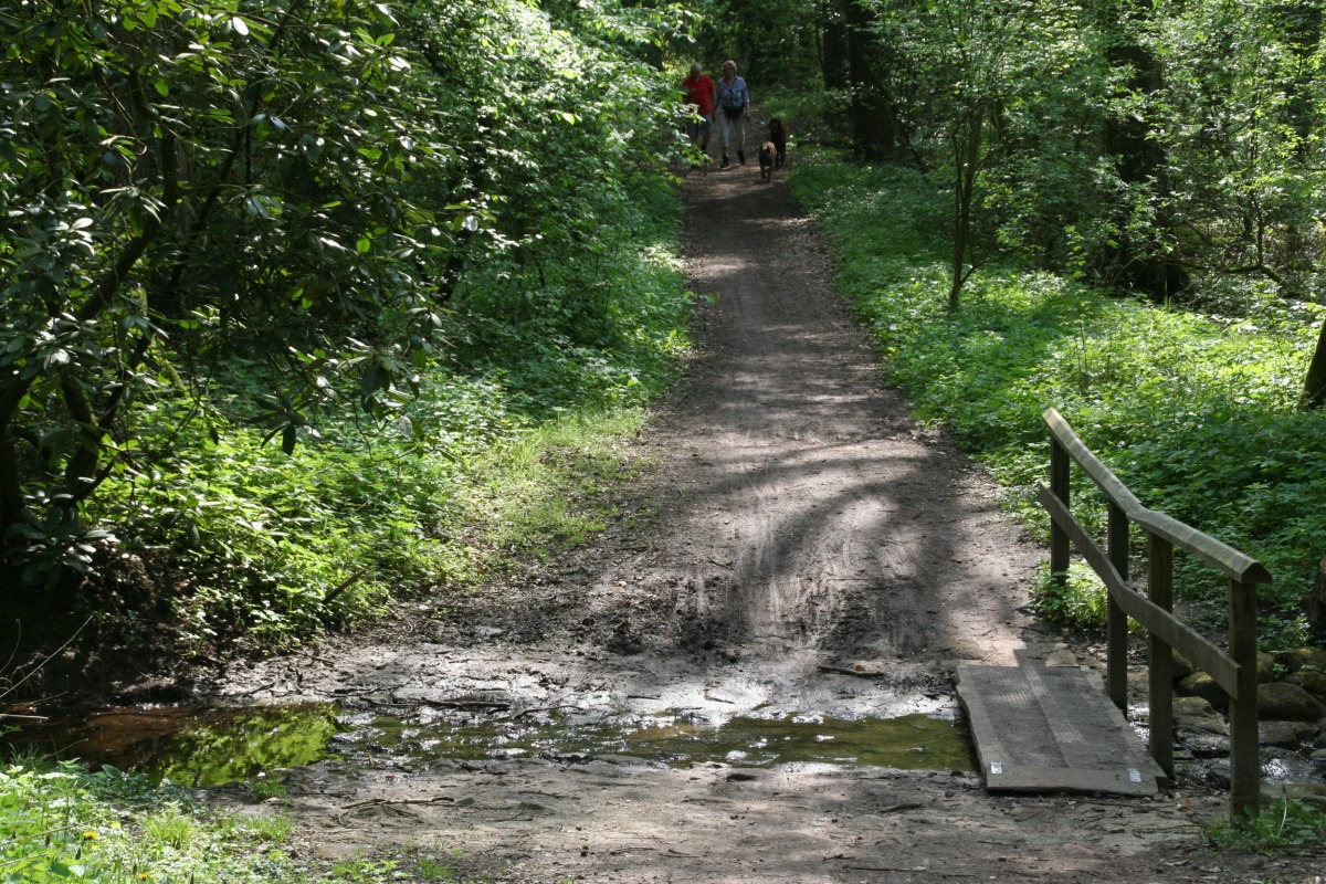 Natuurgebied De Paasberg Visit De Lutte Losser