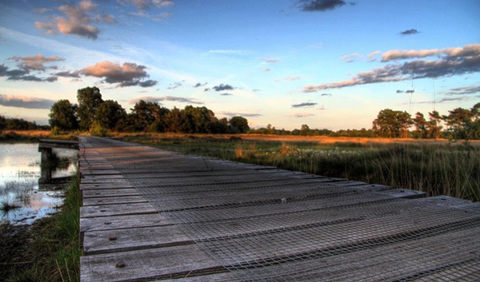 Vlonderpaden: wandelen over zwevende houten planken