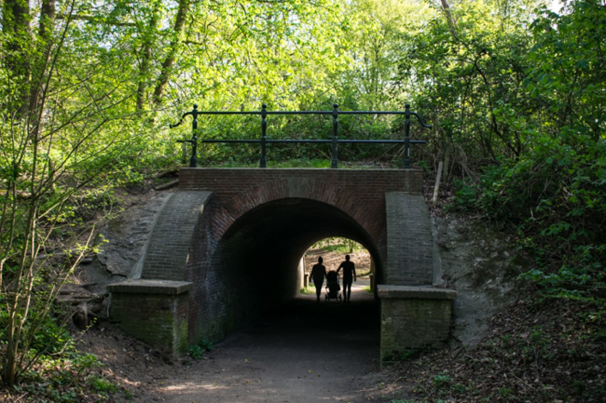 Wandelen in Zwolle Visit Hanzesteden