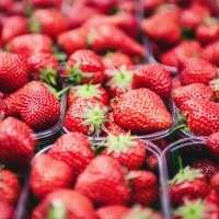 De lekkerste aardbeien uit Manderveen