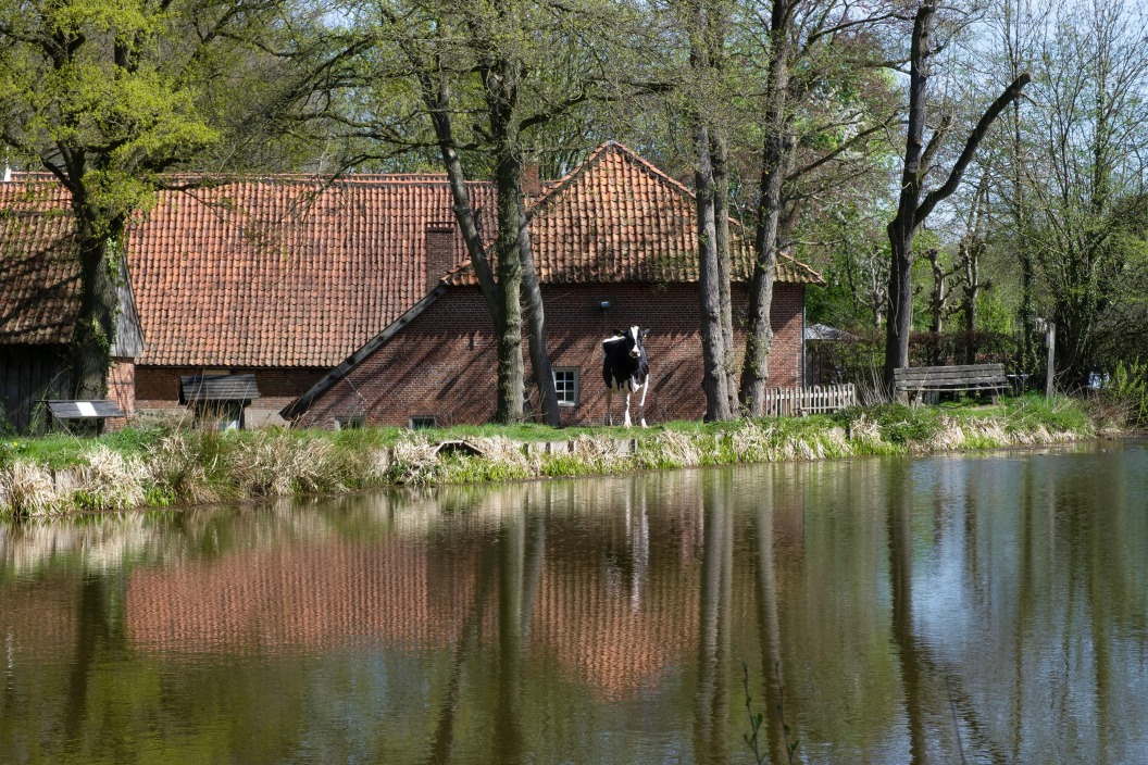 Liesje22 in Mander