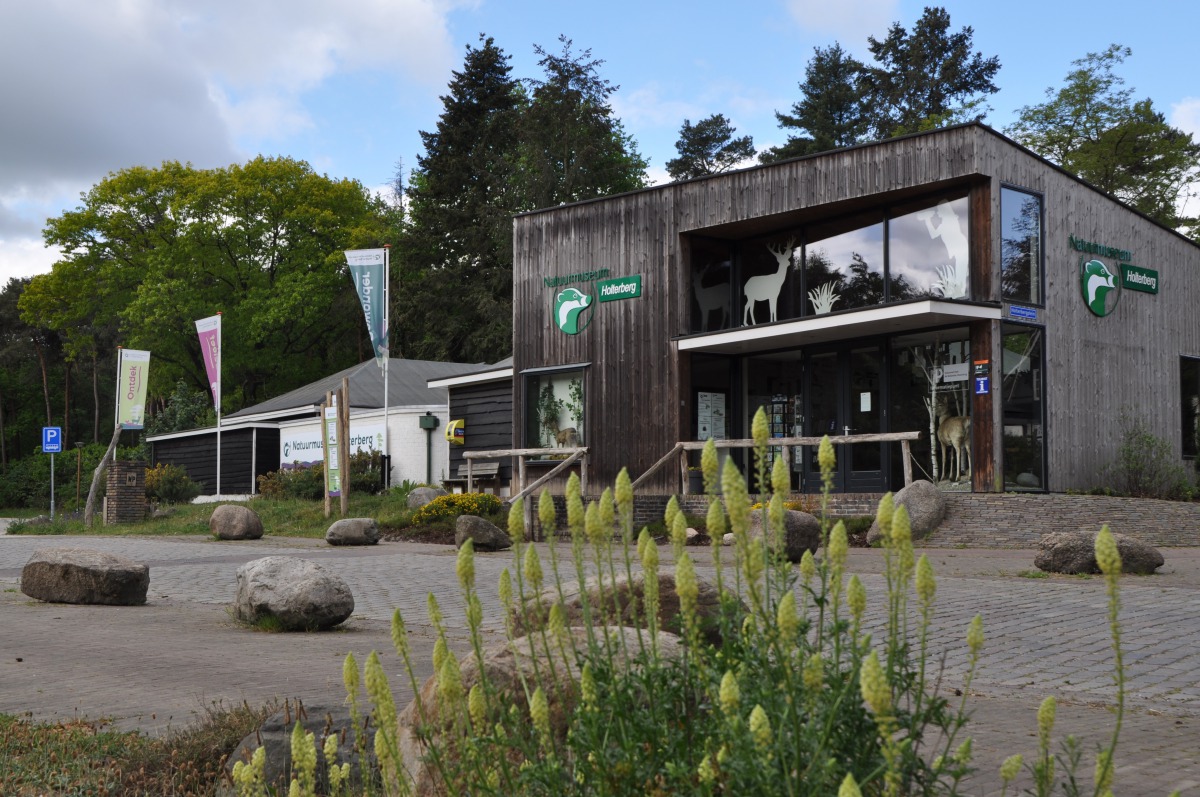 NP Sallandse Heuvelrug; wandelen, speelbos Nijverdal, bezoekerscentrum, uitkijkpunt Holterberg - Reisliefde