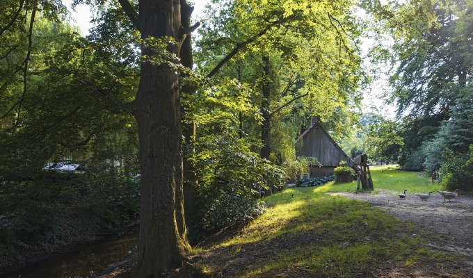 Wat maakt de natuur in Twente zo bijzonder? Tukkers aan het woord.